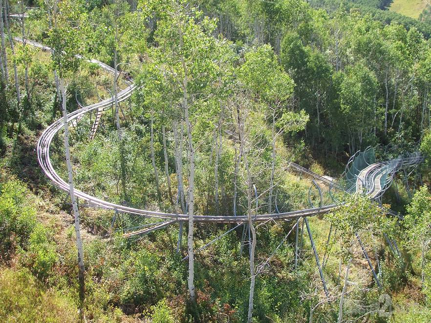 Alpine Coaster