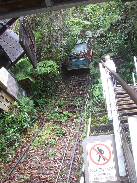 Scenic Railway