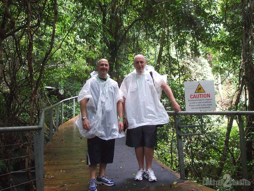 Forestt Walk