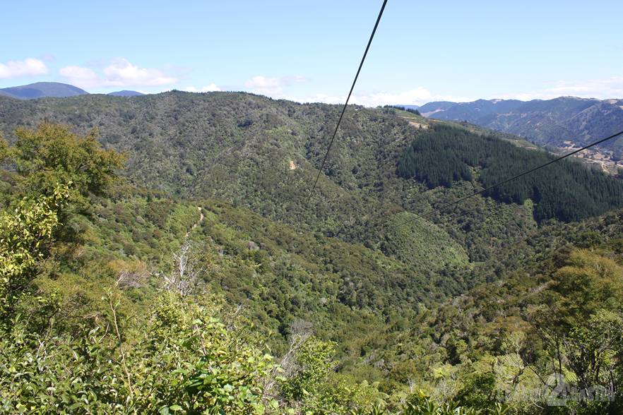 Happy Valley Skywire, Nelson