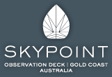 Skypoint Climb
