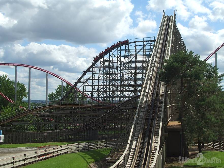 Timber Wolf
