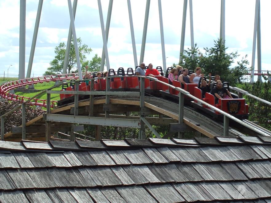 Timber Wolf