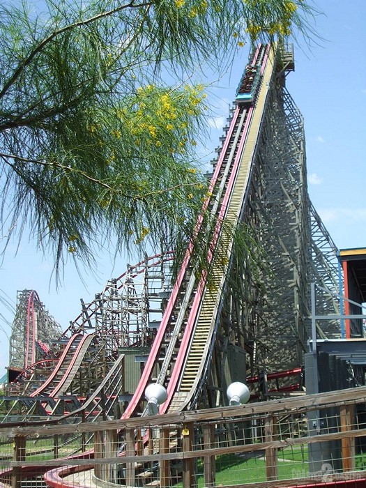 New Texas Giant