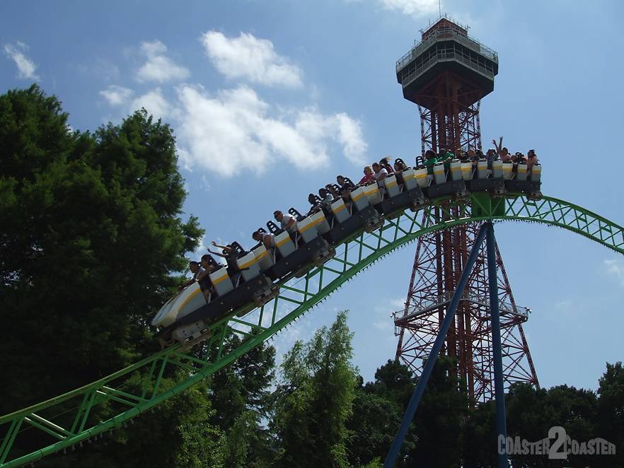 Shock Wave