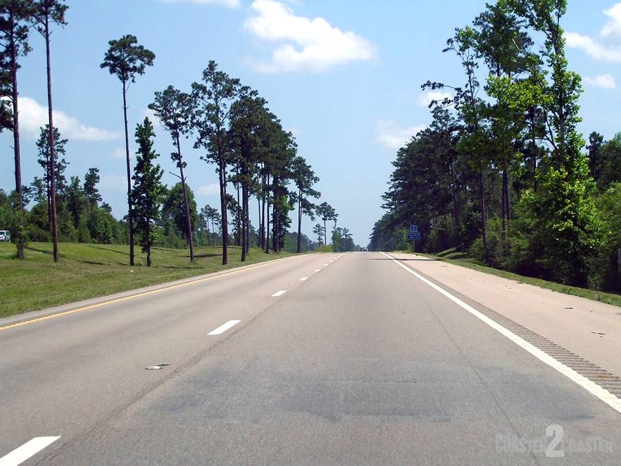 Road Trip