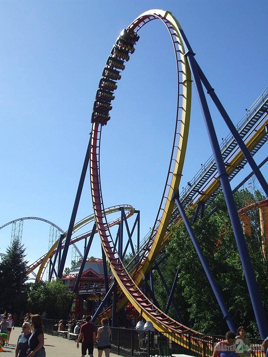 Mantis